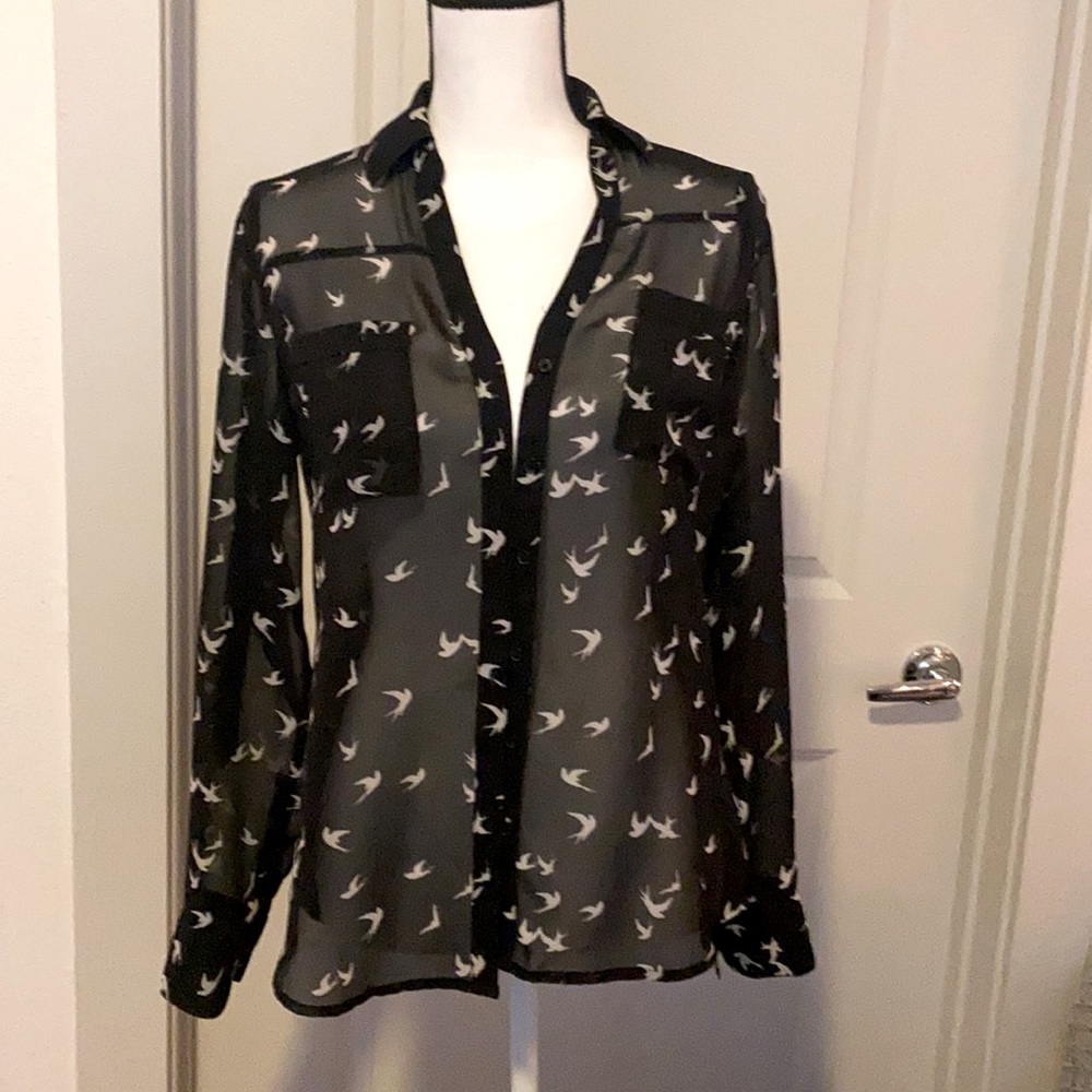 Sheer Express Blouse Size S